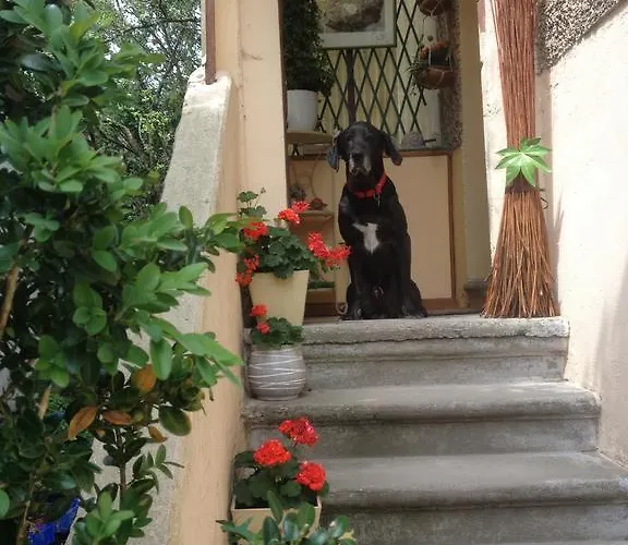 Nocleg ze śniadaniem D'hotes Des 3 Rois